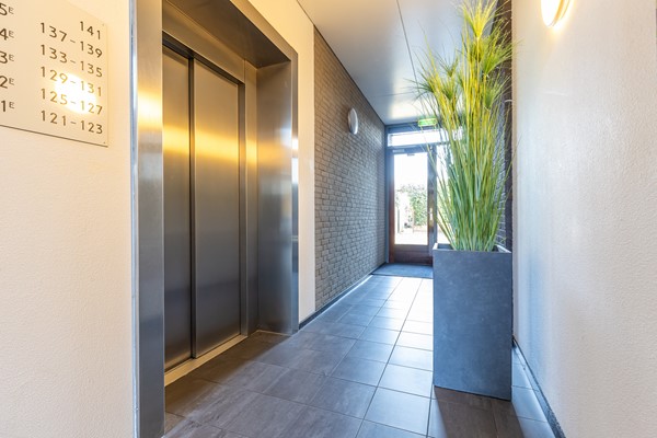 Avenue Carnisse 125-28.jpg